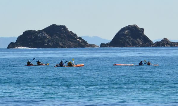 Go Sea Kayaking Byron Bay